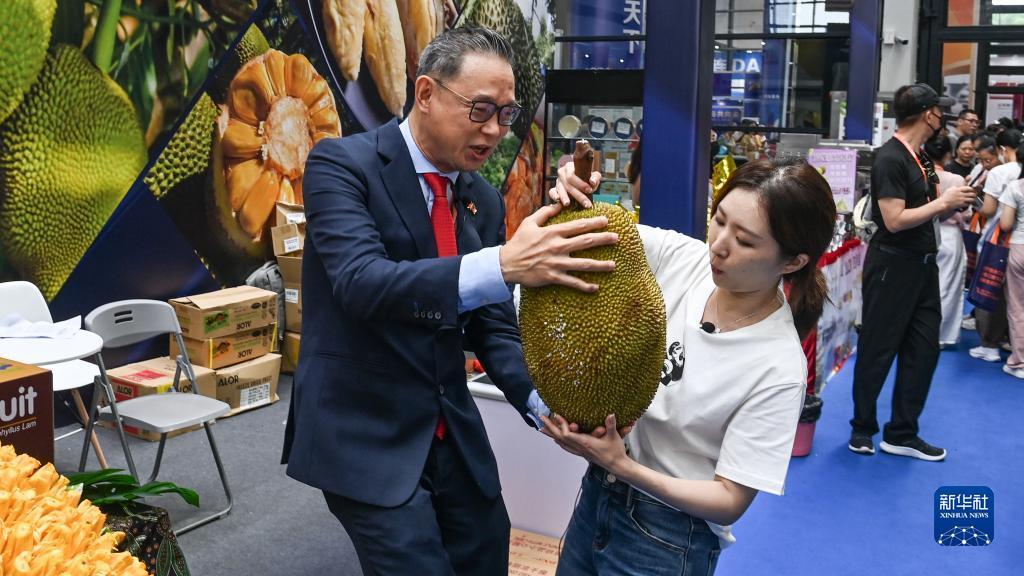 捕鱼大亨系统小说